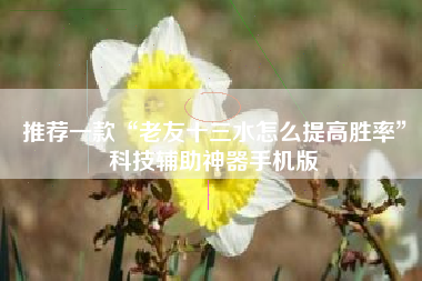 推荐一款“老友十三水怎么提高胜率	”科技辅助神器手机版
