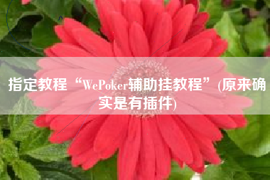 指定教程“WePoker辅助挂教程”(原来确实是有插件)