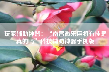 玩家辅助神器：“南昌微乐麻将有挂是真的吗”科技辅助神器手机版