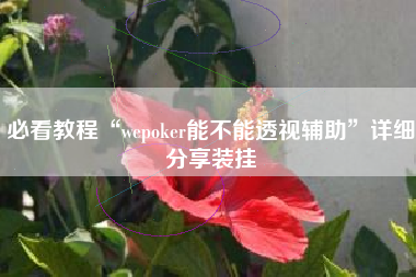 必看教程“wepoker能不能透视辅助	”详细分享装挂