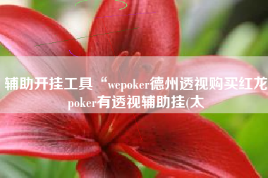辅助开挂工具“wepoker德州透视购买红龙poker有透视辅助挂(太 辅助开挂工具“wepoker德州透视购买红龙poker有透视辅助挂(太