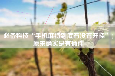 必备科技“手机麻将到底有没有开挂”(原来确实是有插件