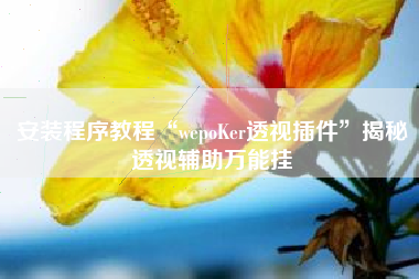 安装程序教程“wepoKer透视插件”揭秘透视辅助万能挂