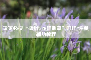 玩家必搜“德州WPK辅助器”开挂(透视)辅助教程
