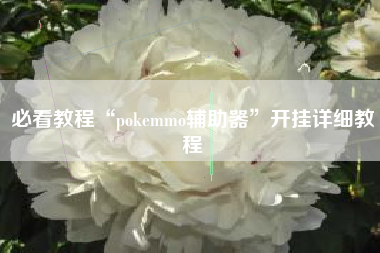 必看教程“pokemmo辅助器”开挂详细教程