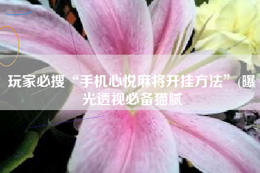 玩家必搜“手机心悦麻将开挂方法”(曝光透视必备猫腻