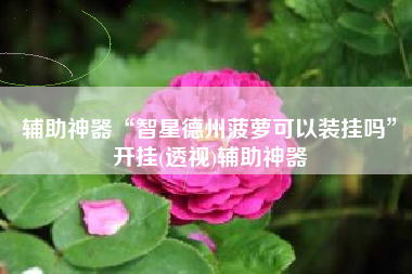 辅助神器“智星德州菠萝可以装挂吗	”开挂(透视)辅助神器