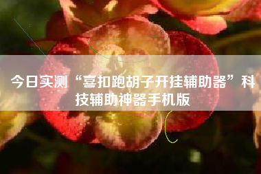 今日实测“喜扣跑胡子开挂辅助器”科技辅助神器手机版