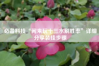 必备科技“闲来玩十三水刷胜率”详细分享装挂步骤