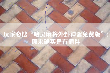 玩家必搜“哈灵麻将外卦神器免费版	”(原来确实是有插件