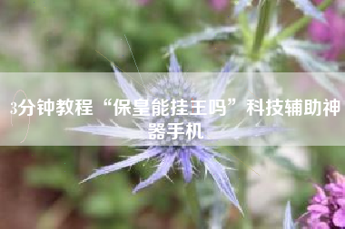 3分钟教程“保皇能挂王吗”科技辅助神器手机