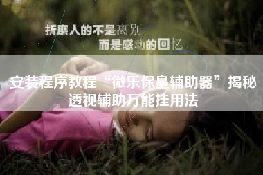 安装程序教程“微乐保皇辅助器”揭秘透视辅助万能挂用法