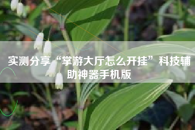 实测分享“掌游大厅怎么开挂”科技辅助神器手机版