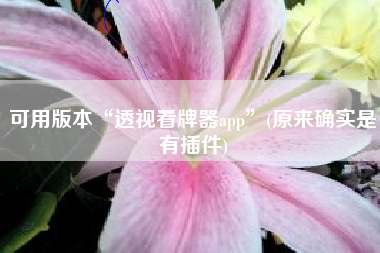可用版本“透视看牌器app”(原来确实是有插件)