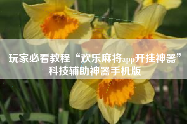 玩家必看教程“欢乐麻将app开挂神器”科技辅助神器手机版