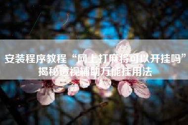 安装程序教程“网上打麻将可以开挂吗”揭秘透视辅助万能挂用法