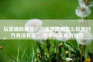 玩家辅助神器：“菠萝德州怎么检测对方有没有挂”(原来确实是有插件