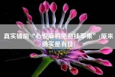 真实辅助“心悦麻将免费挂苹果”(原来确实是有挂)