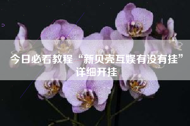 今日必看教程“新贝壳互娱有没有挂	”详细开挂