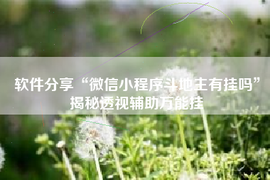 软件分享“微信小程序斗地主有挂吗	”揭秘透视辅助万能挂