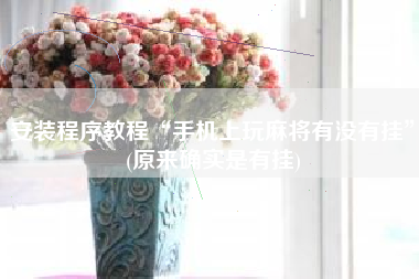 安装程序教程“手机上玩麻将有没有挂”(原来确实是有挂)