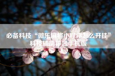 必备科技“微乐麻将小程序怎么开挂”科技辅助神器手机版