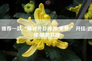 推荐一款“麻将外卦神器(免费)”开挂(透视)辅助教程