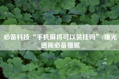 必备科技“手机麻将可以装挂吗”(曝光透视必备猫腻