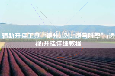 辅助开挂工具“德州aa对27跑马胜率	”(透视)开挂详细教程
