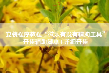 安装程序教程“微乐有没有辅助工具”开挂辅助脚本+详细开挂