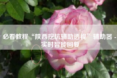 必看教程“陕西挖坑辅助透视	”辅助器 - 实时智能回复