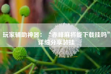 玩家辅助神器：“赤峰麻将能下载挂吗	”详细分享装挂