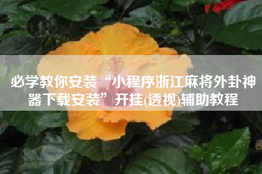 必学教你安装“小程序浙江麻将外卦神器下载安装	”开挂(透视)辅助教程