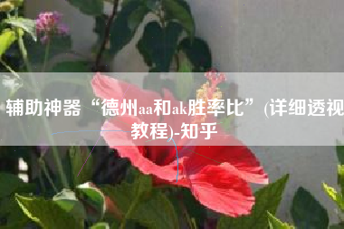 辅助神器“德州aa和ak胜率比”(详细透视教程)-知乎