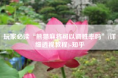 玩家必读“熊猫麻将可以调胜率吗”(详细透视教程)-知乎