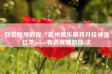 安装程序教程“贵州微乐麻将开挂神器红龙poker有透视辅助挂(太