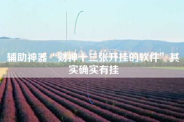 辅助神器“财神十三张开挂的软件”其实确实有挂
