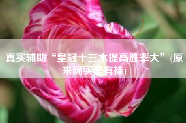 真实辅助“皇冠十三水提高胜率大”(原来确实是有挂)