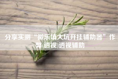 分享实测“微乐填大坑开挂辅助器”作弊(透视)透视辅助