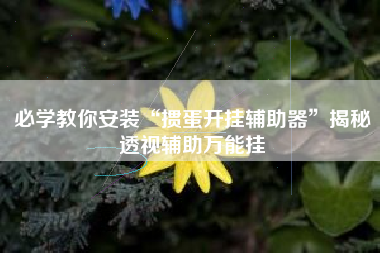 必学教你安装“掼蛋开挂辅助器”揭秘透视辅助万能挂