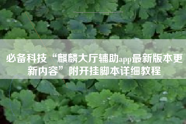 必备科技“麒麟大厅辅助app最新版本更新内容”附开挂脚本详细教程