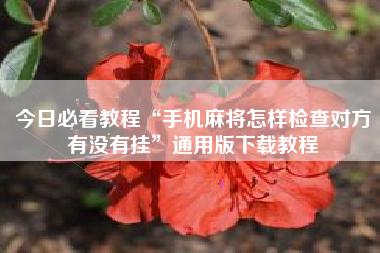 今日必看教程“手机麻将怎样检查对方有没有挂”通用版下载教程