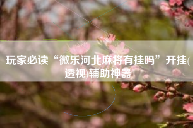 玩家必读“微乐河北麻将有挂吗”开挂(透视)辅助神器