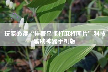 玩家必读“挂着吊瓶打麻将图片	”科技辅助神器手机版