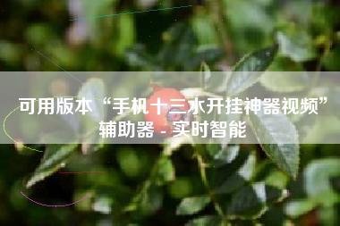 可用版本“手机十三水开挂神器视频”辅助器 - 实时智能