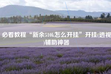 必看教程“新余510k怎么开挂”开挂(透视)辅助神器
