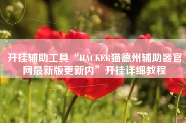 开挂辅助工具“HACKER猫德州辅助器官网最新版更新内”开挂详细教程