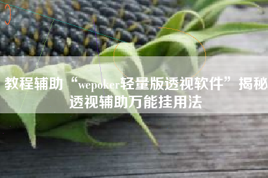 教程辅助“wepoker轻量版透视软件”揭秘透视辅助万能挂用法