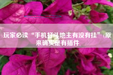 玩家必读“手机打斗地主有没有挂”(原来确实是有插件