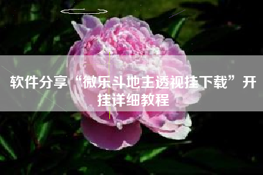 软件分享“微乐斗地主透视挂下载”开挂详细教程